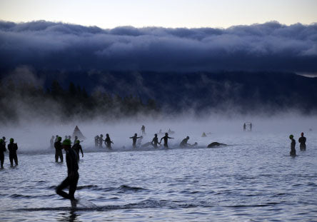 Early morning swim race